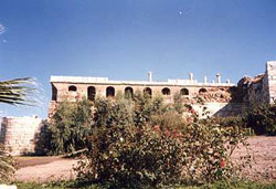 about selcuk, selcuk and sirince, sirince village