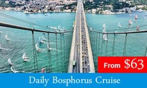 daily bosphorus dinner cruise